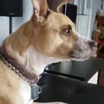 Eric Leduc - @eric.leduc.5076798 - Instagram