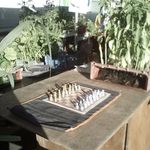 Eric Leduc - @eric.leduc.9659 - Instagram