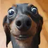 Leduc Eric - @leduceric - TikTok