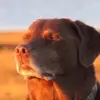 ericledude - @ericledude - TikTok