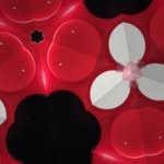 Eric a leech - @ericaleitch12344 - Instagram