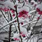 Eric Lee Chung - @ericleechung333 - Instagram