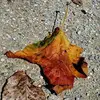 ericleestatham - @ericleestatham - TikTok