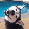 ericleestryker - @ericleestryker - TikTok