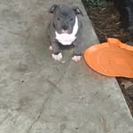 Savage_eric - @eric_leggette2018 - Instagram