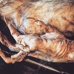 Eric Legión Terror - @ericlegionterror - Instagram