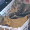 erick.77100 - @erick.legion - TikTok