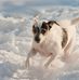 Eric Lehnert - Facebook