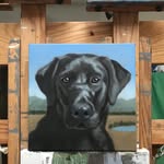 Eric Leichter - @ericleichterdogpainter - Instagram