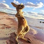 Eric le Jeune - @eric.lejeune9 - Instagram
