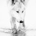 Eric Lejeune - Facebook