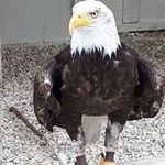 Eric Lejeune - @eric.lejeune.566 - Instagram
