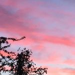 Eric Lejeune - @eric.lejeune.714 - Instagram