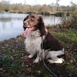 Eric Leman - @leman_eric - Instagram