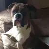 Erik Lemasters - @erik.lemasters - TikTok