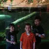 Eric_klemmer - @ericklemmer - TikTok