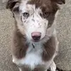 Erica Lenning✝️ - @erica.lenning - TikTok