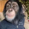 eric lenz - @ericlenz0 - TikTok