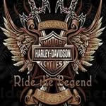 Eric Letellier - @eric.letellier.921 - Instagram