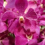 eric levin - @levin4899 - Instagram