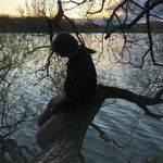 Eric Levy - @_eric_levy_ - Instagram