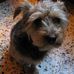 Eric Liebe - Facebook