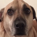 Eric Lieberman - @eric_lieberman1205 - Instagram