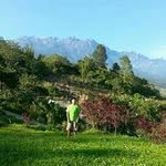 Eric Liew - @eric.liew - Instagram