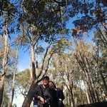 Eric Liew - @eric.liew.jy - Instagram