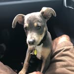 Eric Lifschitz - @sassy_sasson - Instagram