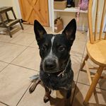 Erick Lightman - @ericklightman - Instagram