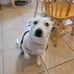 Erick Lightman - Facebook