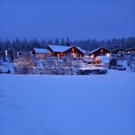 Erik Lindfors - @eriklindfors1942 - Instagram