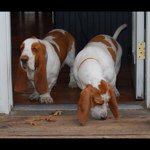 E L - @ericlink - Instagram
