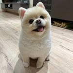 @eric.linky - Instagram