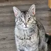 Eric Lichterman - @eric.lichterman - TikTok