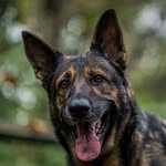 Eric - @ericlionphotography - Instagram