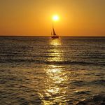 Eric Lipp - @ericl050575 - Instagram