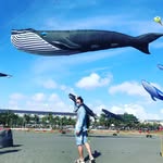 Eric Liu - @ericliu0513 - Instagram