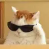 eric liu - @user8172827284 - TikTok