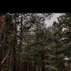 ericserretllopis - @ericserretllopis - TikTok