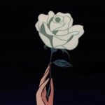𝕰𝕽𝕴𝕮 𝕷𝕺𝕰𝕽𝕬 - @dallastxe.l - Instagram