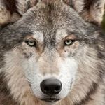 Eric Loney - @eric_loney - Instagram