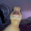 ericloper13 - @ericloper13 - TikTok