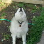 Eric Lose - @tpbear - Instagram