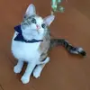 erichlose - @erichlose - TikTok