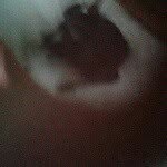 eric l domingo jr - @eric_the_loser_xd - Instagram