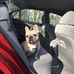 Eric Lowman - Facebook