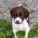 Eric Lowman - Facebook