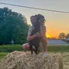 Erick Lowman - @erick.lowman - TikTok